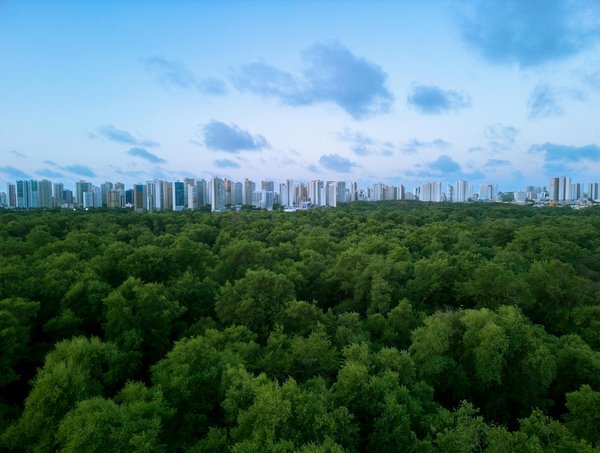 Guide Pratique : Lancer un Club de Lecture Enchanteur pour Enfants dédié aux Contes du Monde